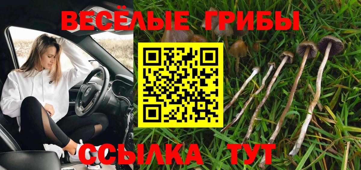 купить наркоту  Псилоцибиновые грибы прущие грибы  Вход с VPN  Комсомольск-на-Амуре 