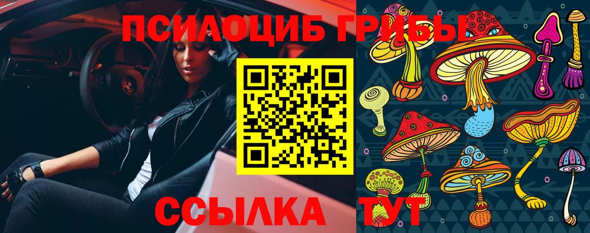 Псилоцибиновые грибы мицелий Комсомольск-на-Амуре